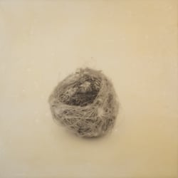 Nest, 12 By 12 Inches, 12x12