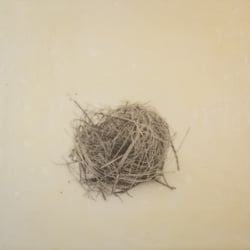 Nest, 12 By 12 Inches, 12x12
