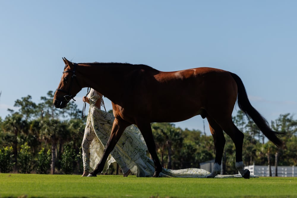 Photo of talent in dress with long train, walking large brown stallion across pasture, by Fort Myers, FL-based lifestyle photographer Brian Tietz.