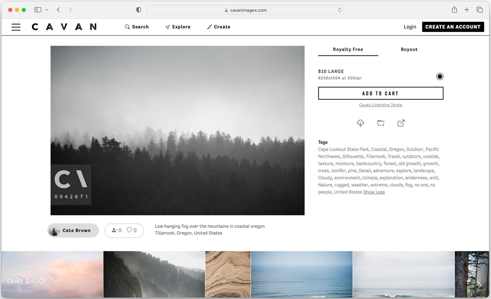 Image of mist and forest in Tillamook, Oregon on the Cavan website taken by Cate Brown.