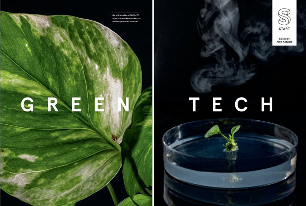 Close up of a leaf and growing plant taken by Julien Faure for Wired Magazine. 