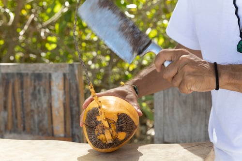 A Punta Caliza employee cuts fresh fruit for guests, photographed by Chicago travel photographer Sandy Noto.