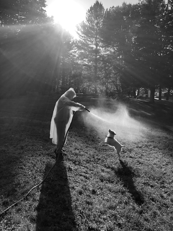 Profile of figure in translucent rain coat playing with long-haired terrier in grassy yard with garden hose, by 2021 grantee Cheryle St. Onge.
