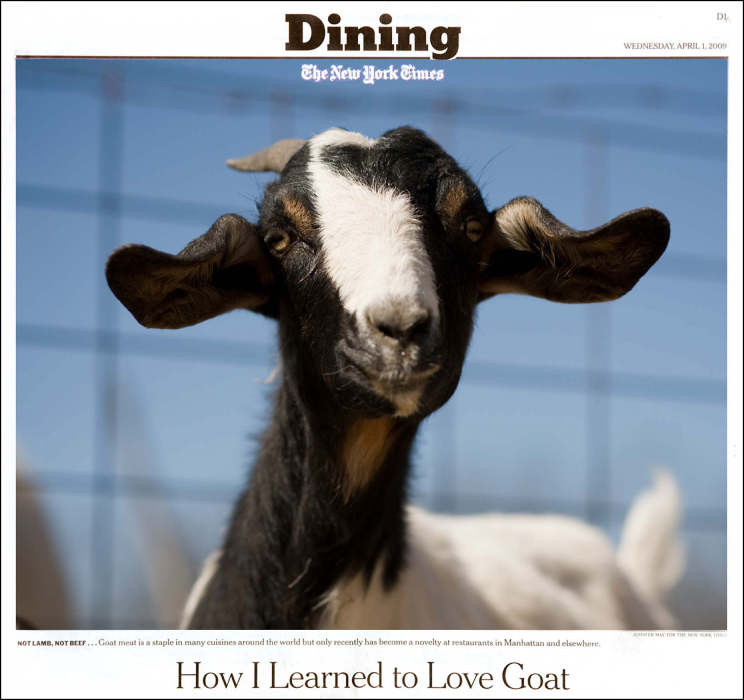 New York Times tearsheet featuring an image of a goat, shot by Woodstock, New York-based agriculture photographer Jennifer May 