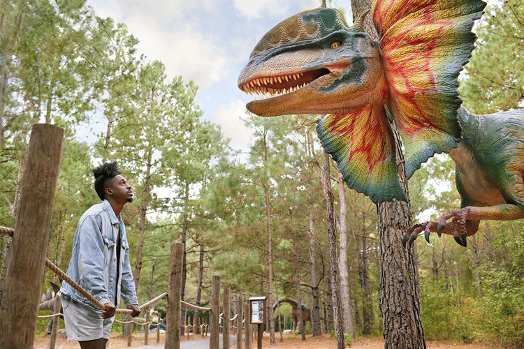 Man observes life-size dinosaur replica in an outdoor park in Fayetteville, North Carolina.