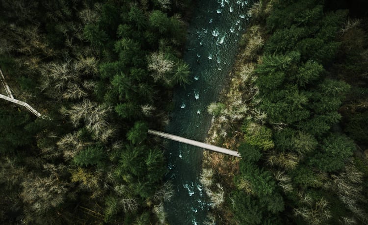 Photo by Patrik Giardino of a river in the middle of a thick forest viewed from above.