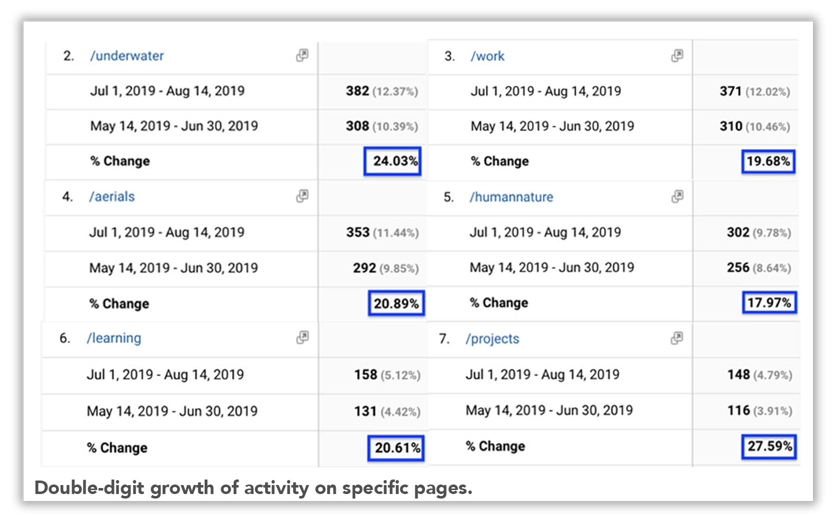 Double-digit growth of activity on specific pages.