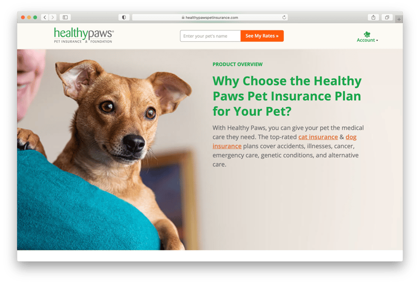 Mark Rogers photo of a cheerful pup on a womans shoulder on the homepage of Healthy Paws
