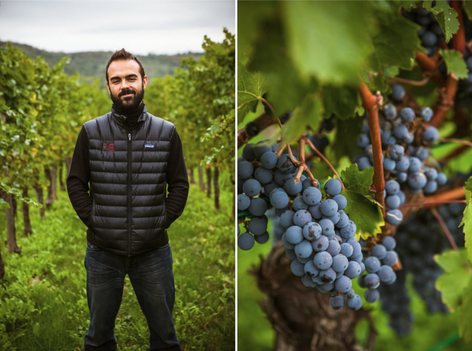 Two photographs by Julia Vandenoever of a man in vineyard and a close-up on grapes