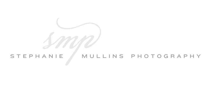 grey logo showing a photographer's name and initials 