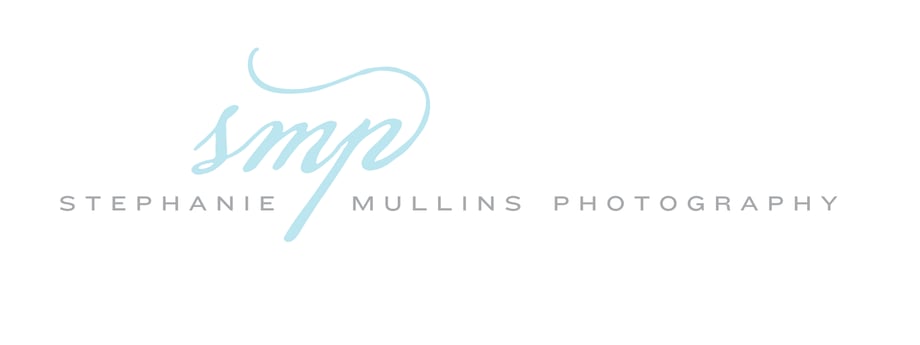 A logo with a photographer's name in grey, with blue initials