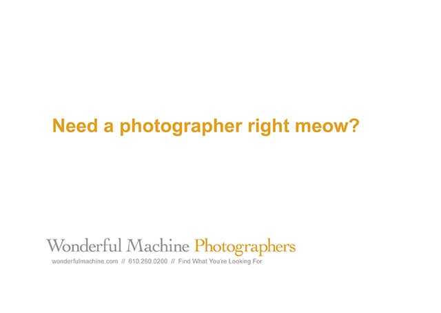 Wonderful Machine promo with tagline 'need a photographer right meow?'