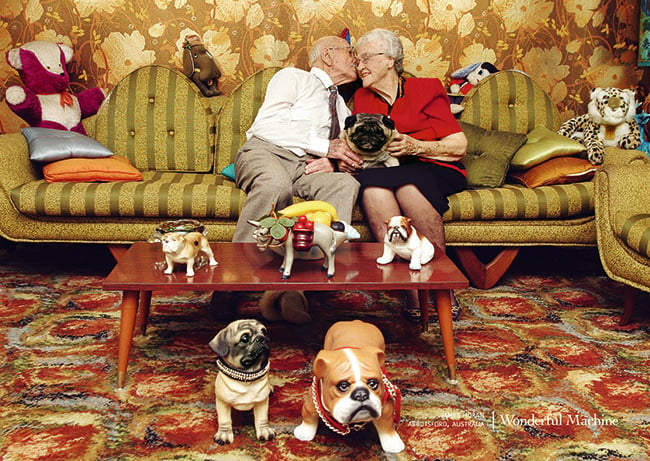 James Horan christmas pugs and kisses photo promo