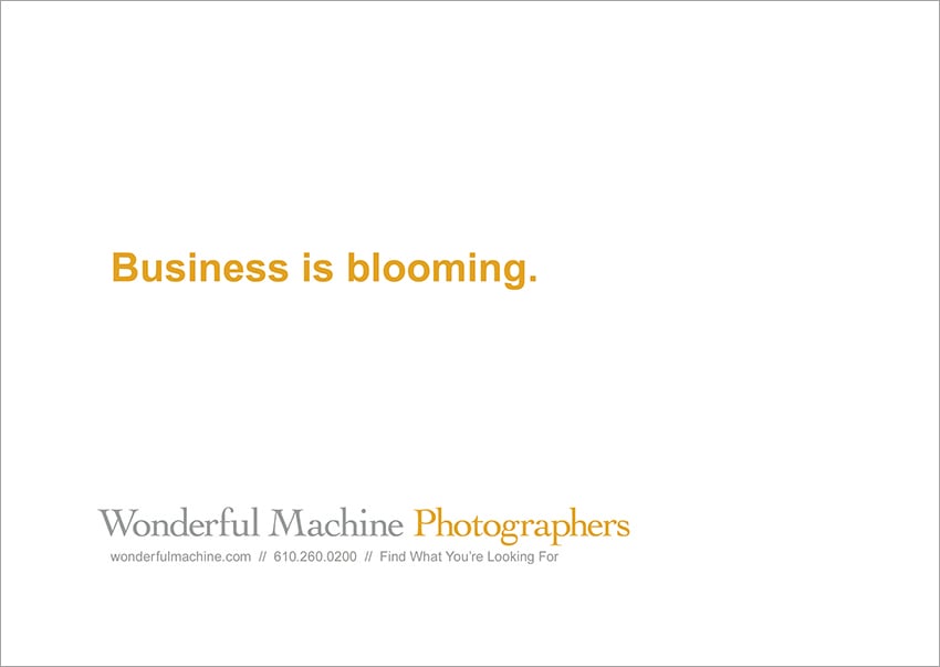 Wonderful Machine promo back-end with tagline 'Business is blooming'