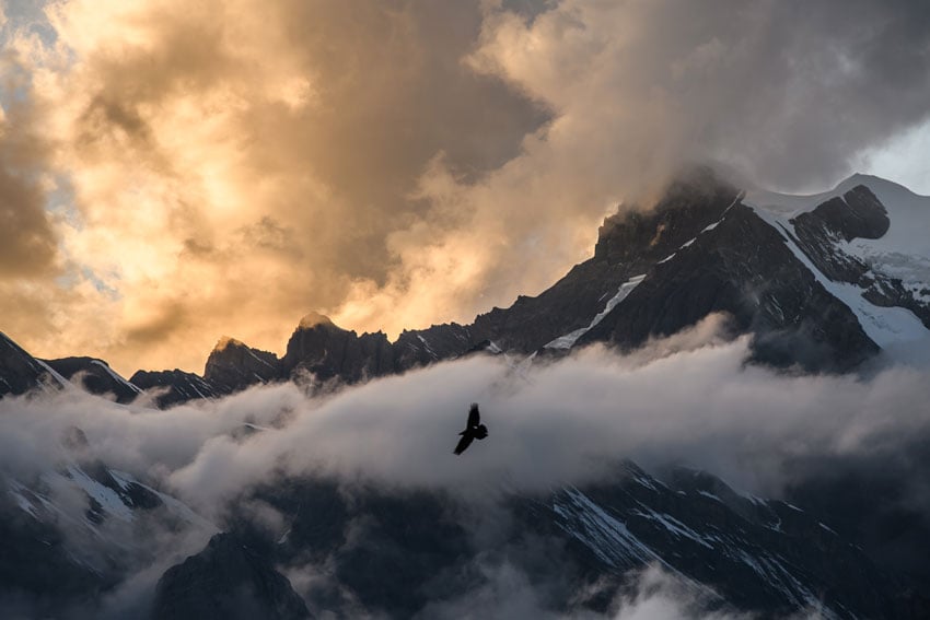Blake Gordon captures an eagle in flight for The North Face as it flies among the clouds in front of a snow-capped mountain.
