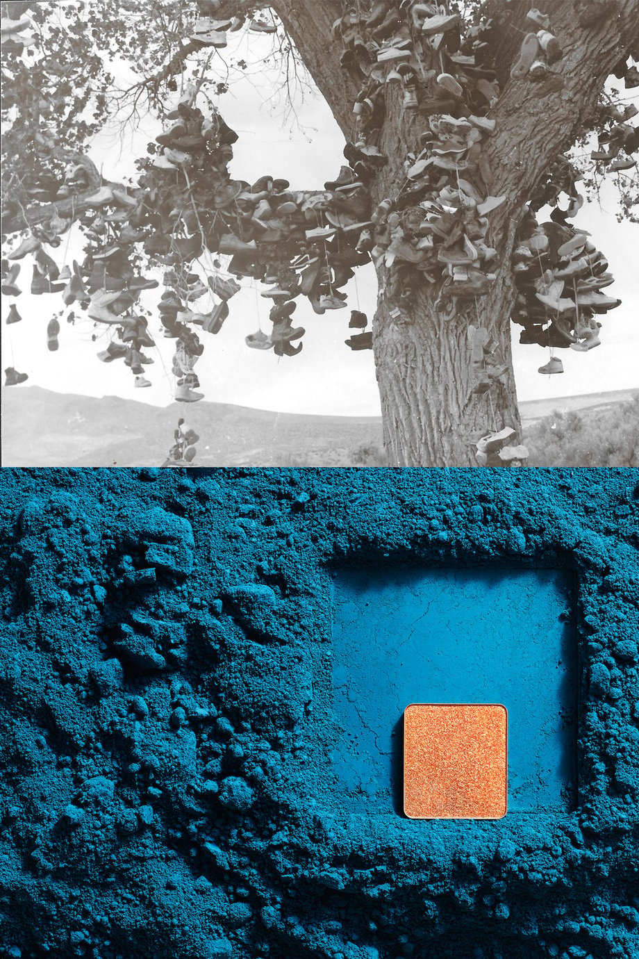 The top of Dan's photo contrasts a black and white tree against the lower half of bright blue cosmetic powder with orange inlay