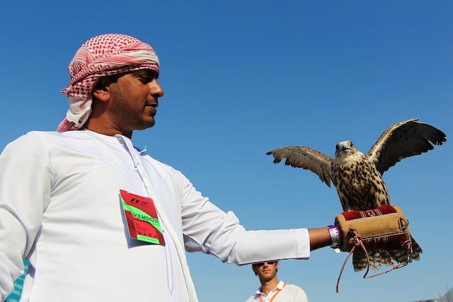 A man with an eagle shot by Dom Romney in the Middle East