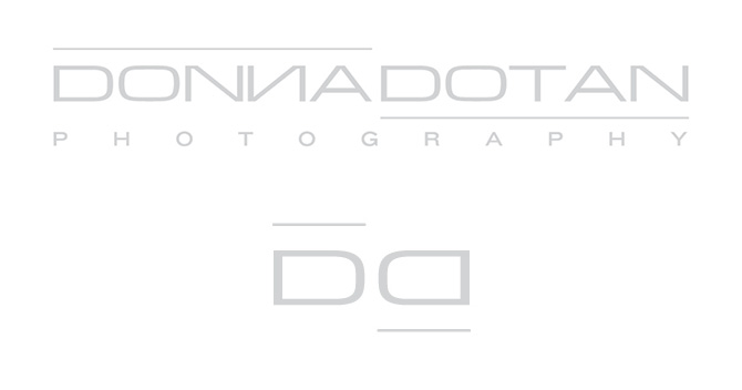 Donna Dotan's logo in gray after after the edit.