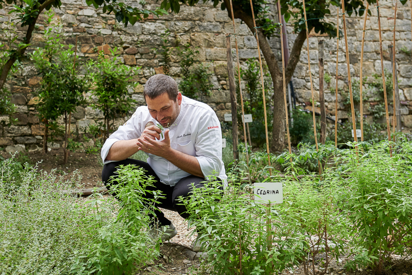 Photo of a chef picking herbs in the garden at Antinori.