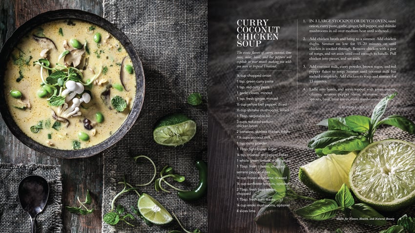 Jena Carlin's photos of curry coconut chicken soup