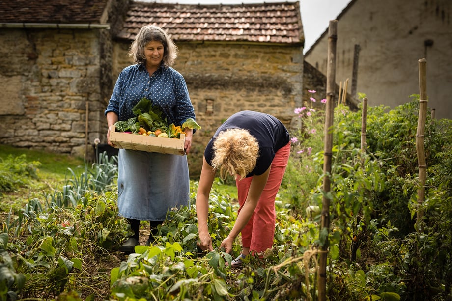 Photo of women picking vegetables from a garden shot by photographer Rocco Ceselin.