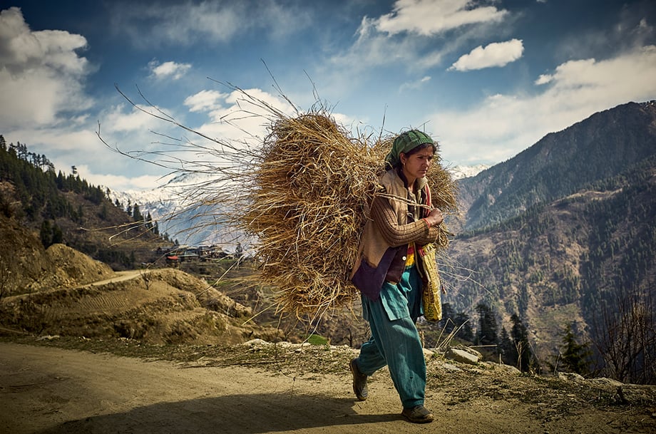 Mark Katzman’s Real and Raw Travels through India for FES - Woman carrying hay. 