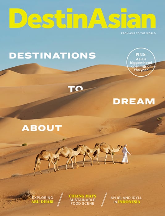 Martin Westlakes photograph of camel train in the desert on the cover of DestinAsian