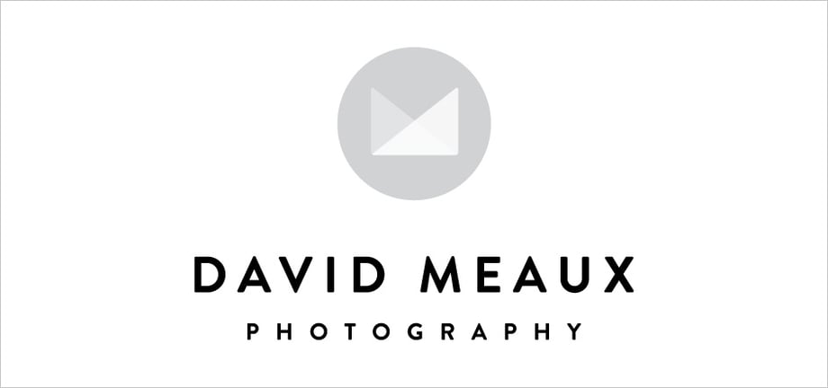 Sample from the first round of updated logo designs for David Meaux Photography