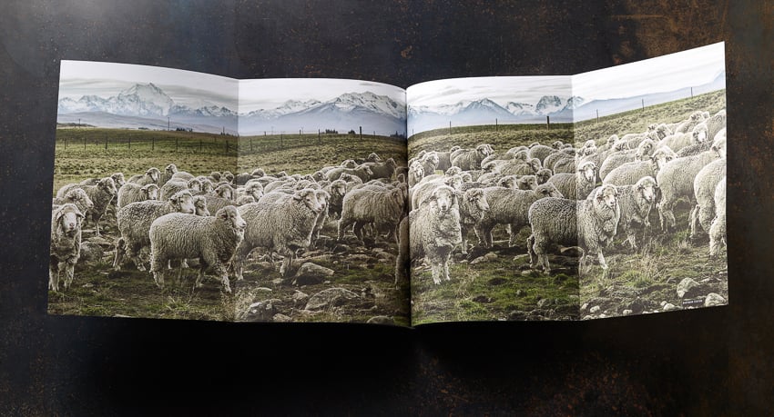 photograph of Dallas, Texas based photographer Tadd Myers booklet on the New Zealand Sheep Farm project.