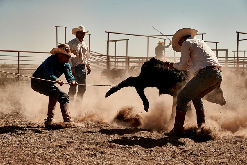 Scott Slusher, Dallas Texas, Cowboys, lifestyle photography, bulls, cowboy photography