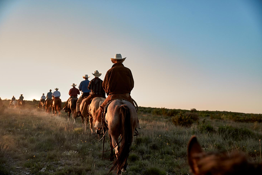 Scott Slusher, Dallas Texas, Cowboys, lifestyle photography, bulls, cowboy photography