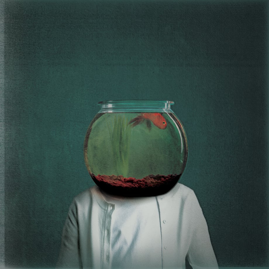 We're just two lost souls swimming in a fishbowl