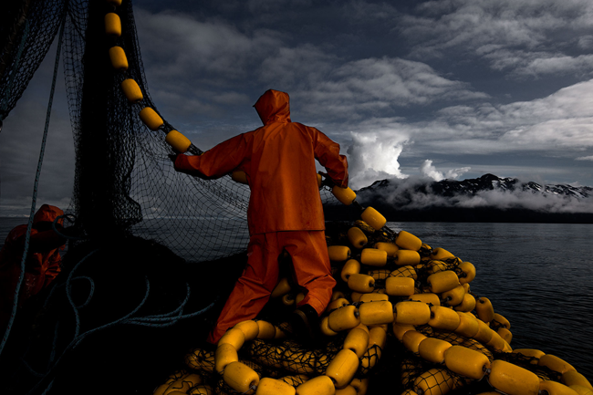 A portrait of a salmon fisher hauling a net for his catch
