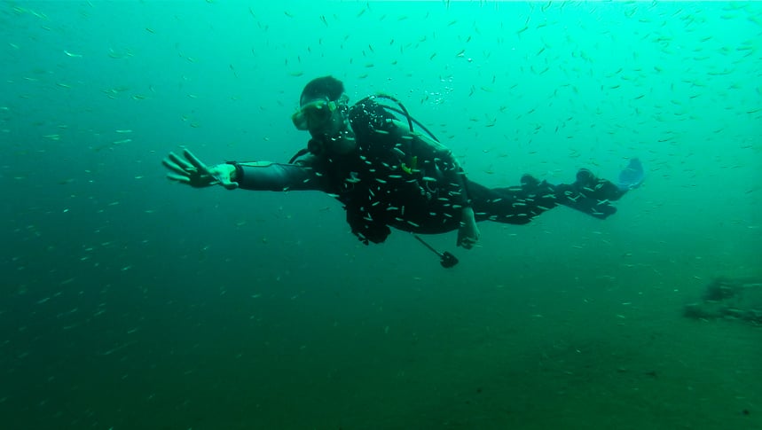 justin bastien, tanzania, Lake Tanganyika, underwater photography, wonderful machine