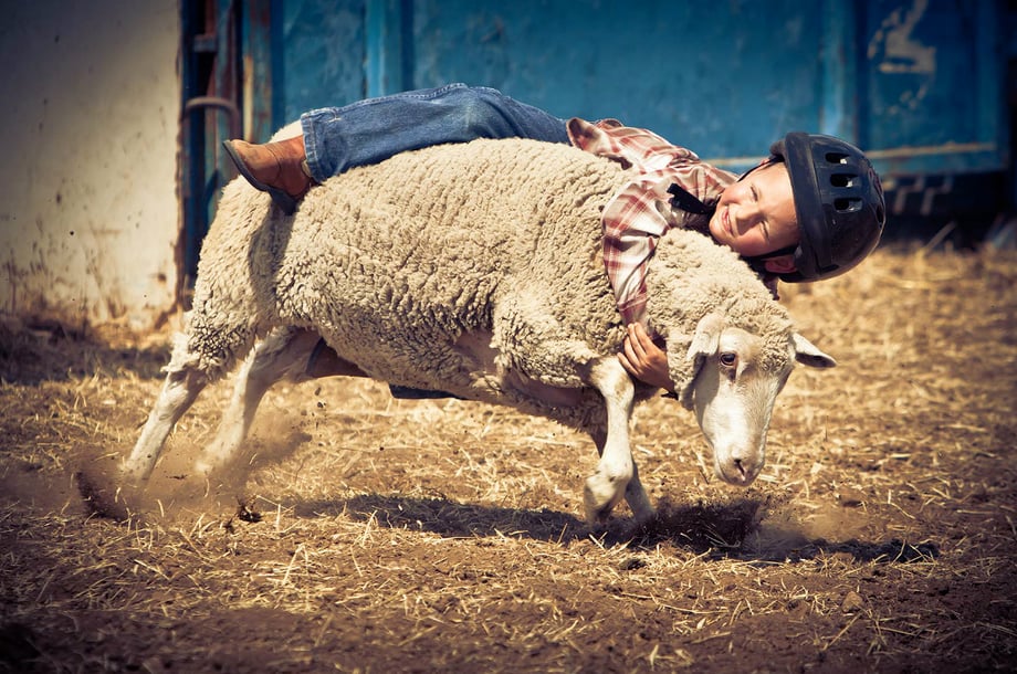 Young kid riding a sheep photographed by John Sibilski