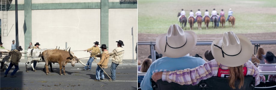Photo of people holding a bull with ropes, and a photo of 7 people on horses.