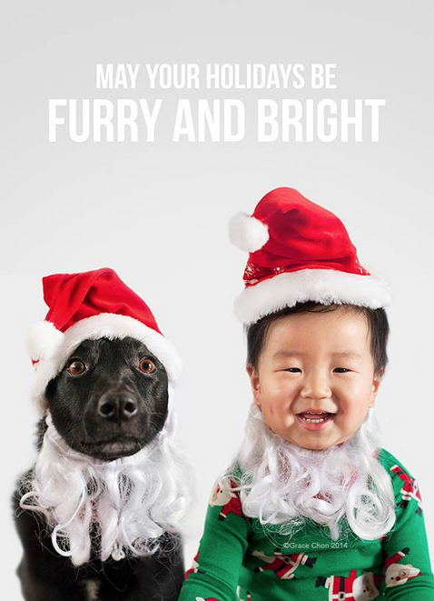 May your holidays be furry and bright photographed by Grace Chon