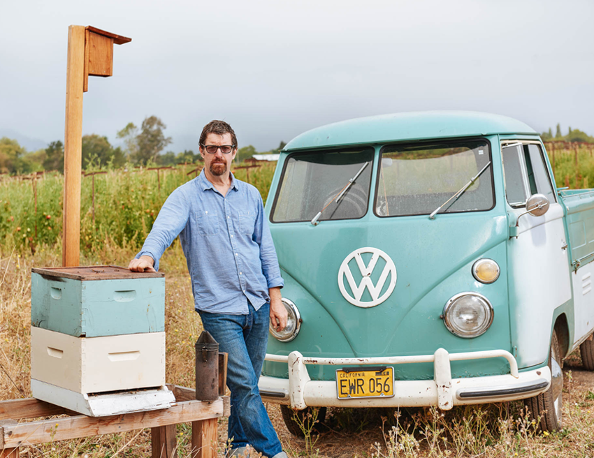 shea evans photography, best reno food photographer, food culture photography, long meadow ranch, best reno portrait photographer, branding photography, California winery, farm to table photography, vw microbus