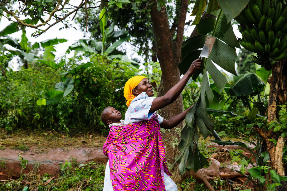 Tina Boyadjieva for Lansinoh photographs a mother in Uganda with her child strapped to her back as she works