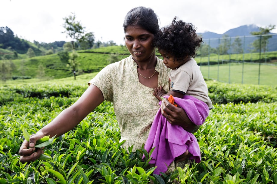 Tina Boyadjieva for Lansinoh photographs a mother in Sri Lanka with her child on her hip as she works in the tea fields