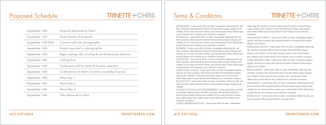 Trinette+Chris's treatment of proposed schedule and terms & conditions pages.