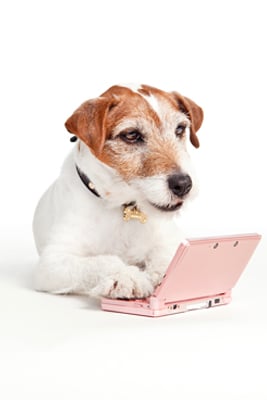 Uggie playing Nintendo DS shot by Los Angeles-based animal photographer Grace Chon