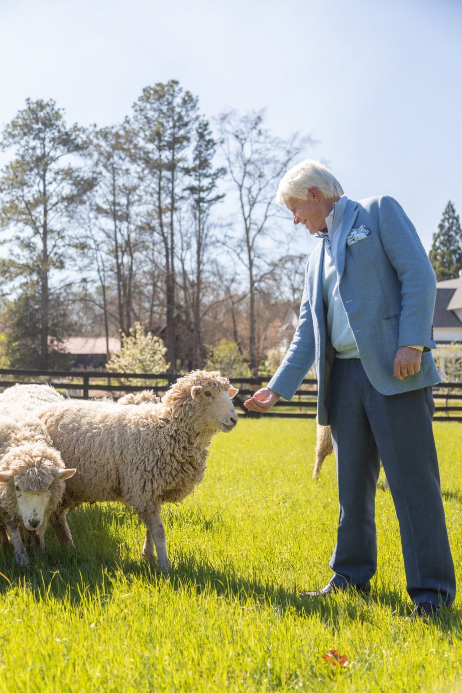 Patrick Heagney snaps a photo of Steve Nygren, founder of Serenbe, holds a hand out to his sheep