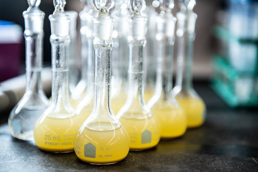 Photo of beakers at Edeniq lab.