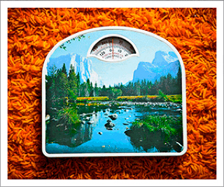 An image of a scale painted with the scene of a mountain range and river, on top of an orange rug for web ads:featureshoot.com