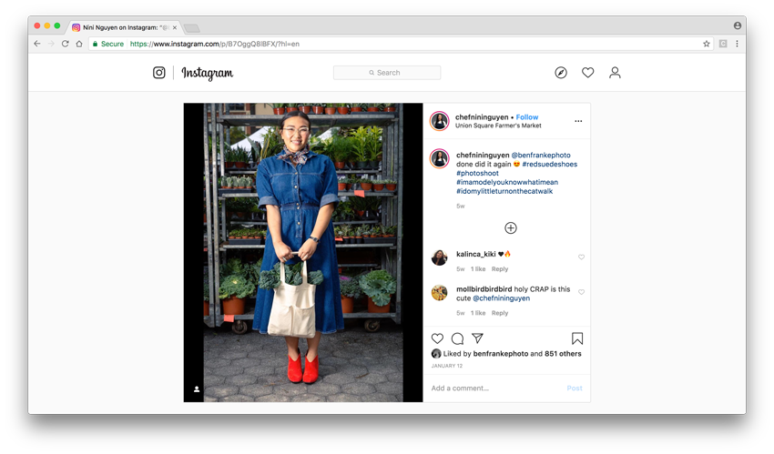 Screenshot of Ben Franke's portrait of Nini Nguyen in Union Square Market from her Instagram feed