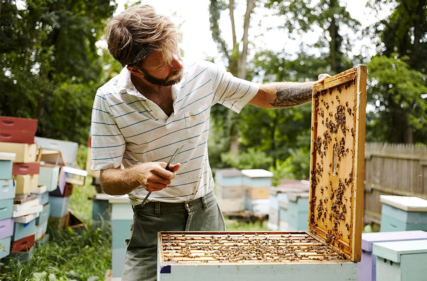 beekeeper, local honey, unfiltered honey, bees, bee photos, janelle bendycki, janelle bendycki photographer
