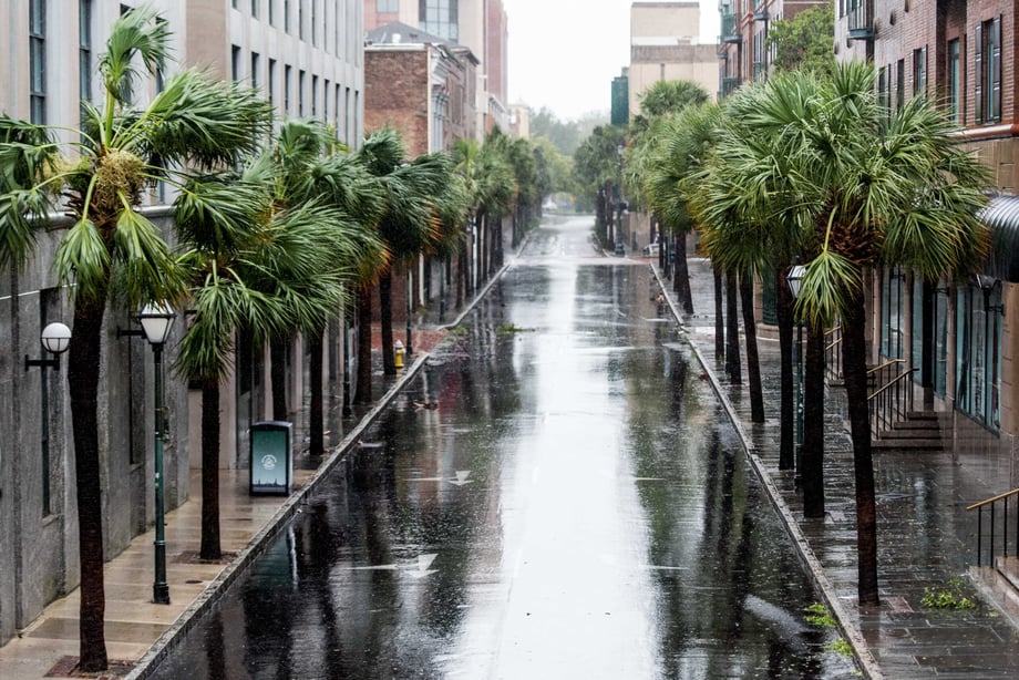 Sean Rayford's photo of a Palmetto lined street in downtown Charleston after Hurricane Dorian