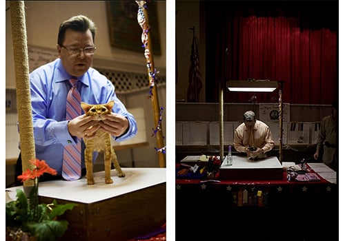 Two side by side photos of judges evaluating cats by Dustin Fenstermache.