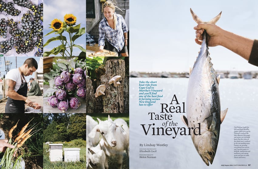 elizabeth cecil, lifestyle photographer, lifestyle photography, marthas vineyard, the vineyard, farm.field.sea, farm to table, vineyard photography